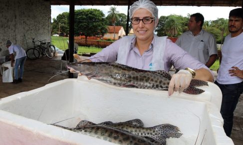 Divulgação. (Foto: Prefeitura de Três Lagoas)